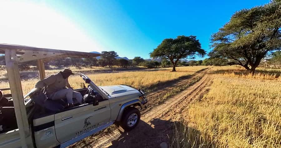 From Windhoek: Okapuka Safari Lodge Day Trip - The noon pickup and short drive out of town