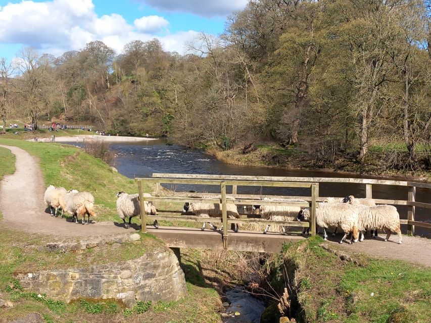 From York: Herriot and Yorkshire Dales Day Trip - Why this Yorkshire Dales day trip works