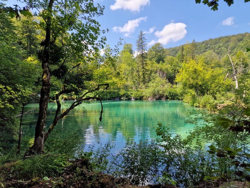 From Zadar: Plitvice Lakes Day Trip with Guide and Boat Tour - Wooden paths, waterfalls, and the best photo stops