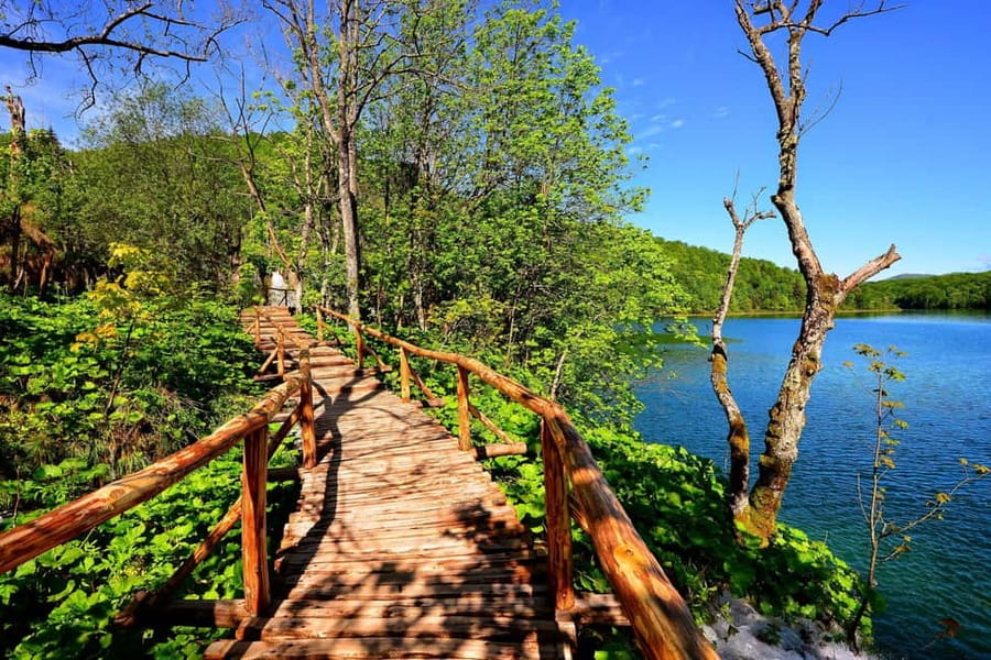 From Zagreb: Rastoke and Plitvice lakes Guided Day Trip - Who should book this tour?