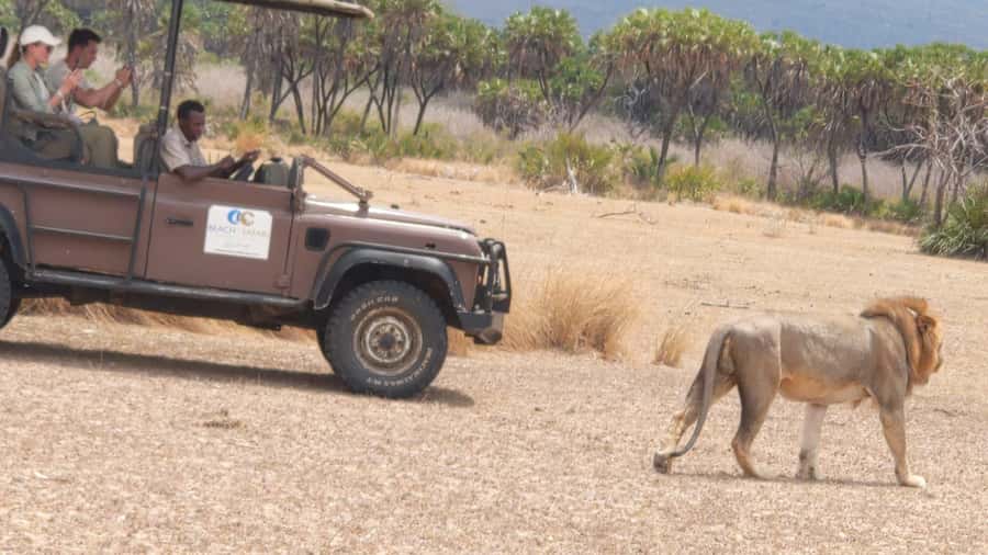 From Zanzibar: Mikumi Safari Day Trip with Flights and Meal - Is $451 good value?