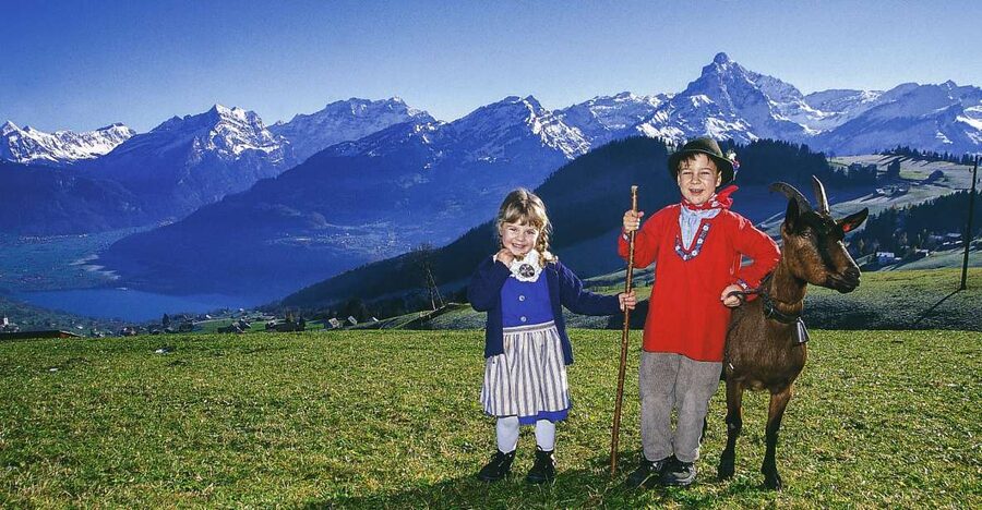 From Zurich: Bus Day Trip to Heidiland and Liechtenstein - Key points at a glance