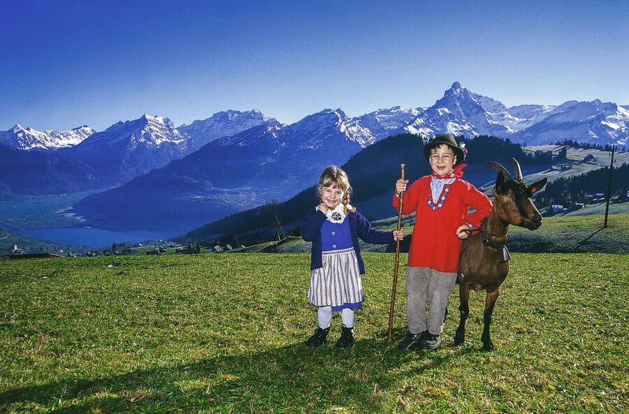 From Zurich: Bus Day Trip to Heidiland and Liechtenstein - Crossing Ricken Pass into Toggenburg