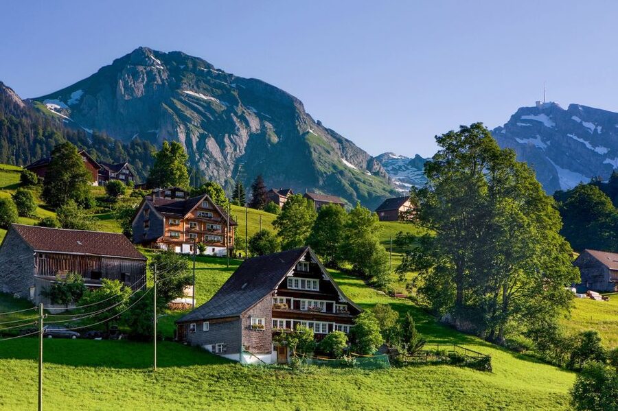 From Zurich: Bus Day Trip to Heidiland and Liechtenstein - Guides, timing, and the feel of the day