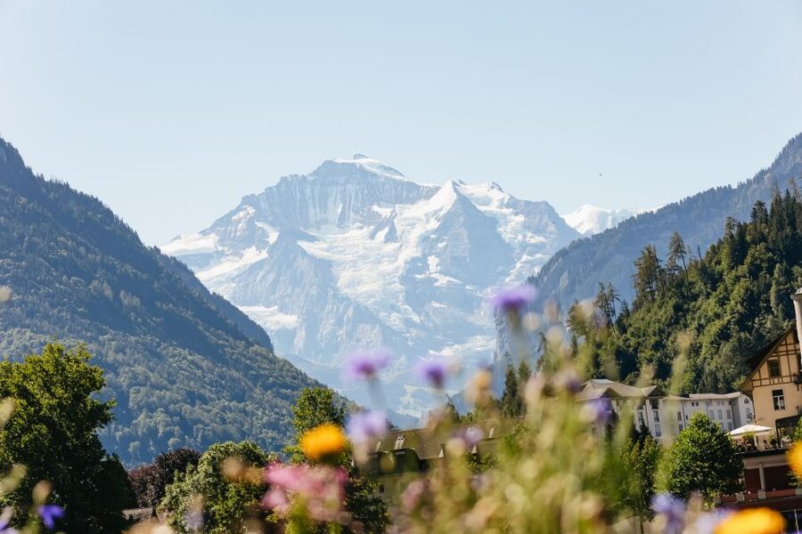 From Zurich: Day Trip to Jungfraujoch - Top of Europe - The cogwheel train and Europe’s highest railway station