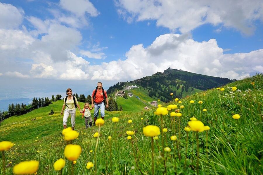 From Zurich: Day Trip to Rigi and Lake Lucerne - The historic railway down toward Vitznau