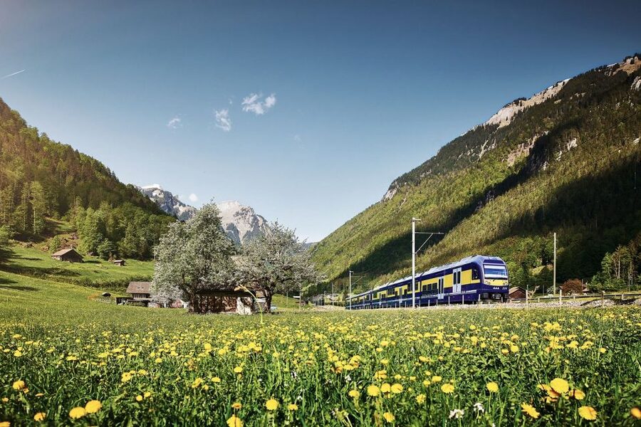 From Zurich: Grindelwald First Mountain Adventure Day Trip - Grindelwald, a mountain village with a tight schedule