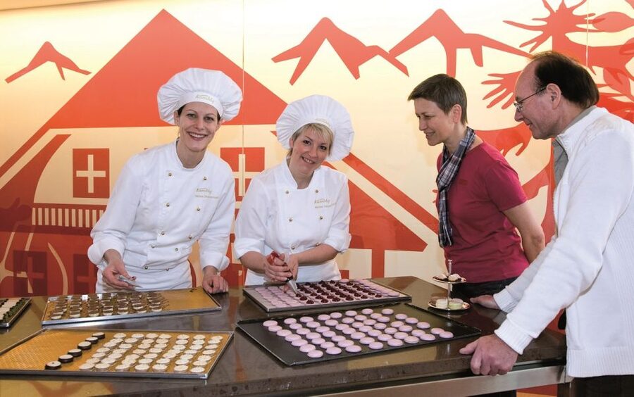 From Zurich/Lucerne: Berne Capital and Countryside Day-Trip - Should you book the Bern and Emmental day trip?