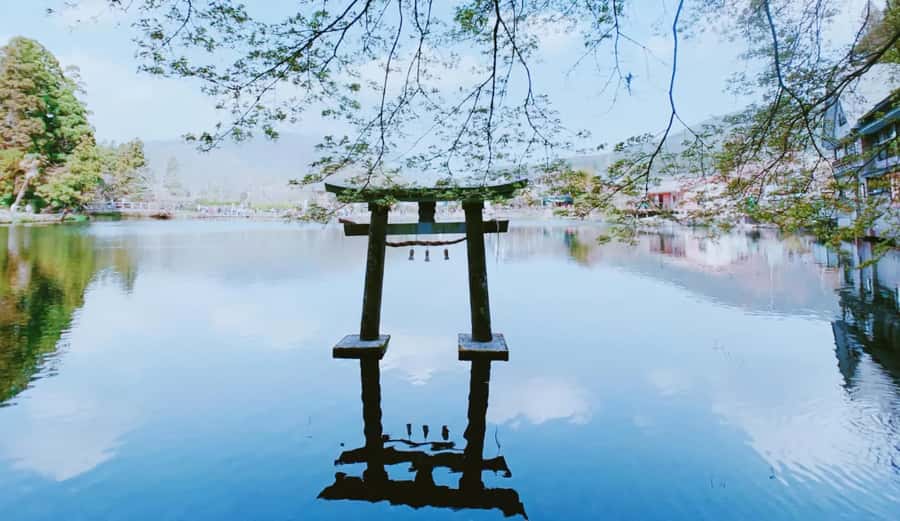 Fukuoka: Beppu Hells HotSpring, Frog Temple & Yufuin DayTrip - What the guides add to a fixed group tour