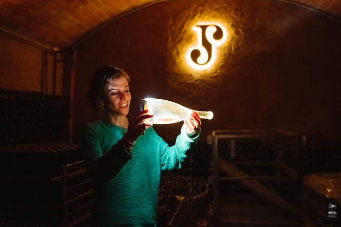 Full-Day Trip Barcelona to Montserrat Monastery & Cava Winery - Walking, comfort, and the day’s pace