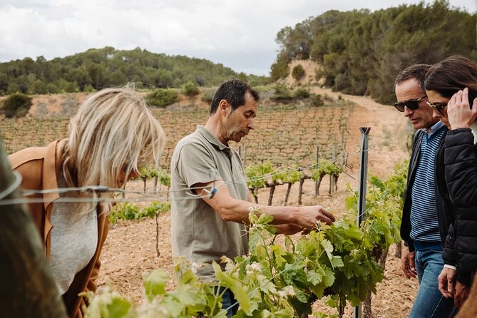 Full-Day Trip Barcelona to Montserrat Monastery & Cava Winery - From mountain monastery to family-run cava country