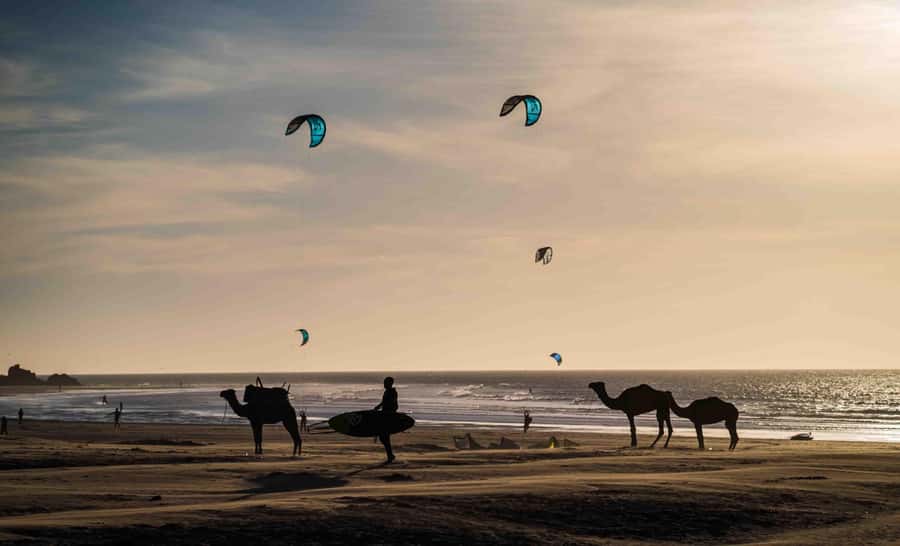 Full Day Trip From Marrakech To Essaouira - Who will enjoy this day most?