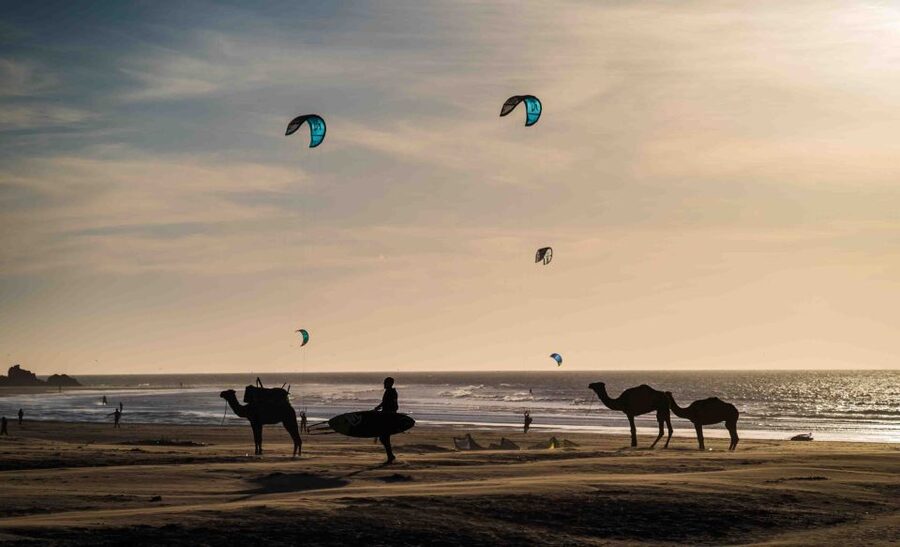 Full Day Trip From Marrakech To Essaouira - How much value does the $16 price offer?