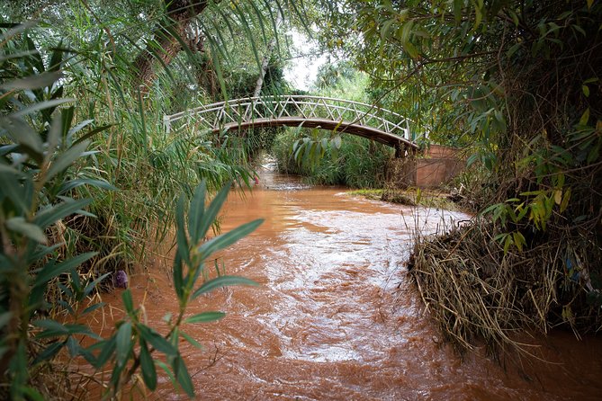 Full Day Trip To Ouzoud Waterfalls From Marrakech & Boat Tour - Price, value, and who should book