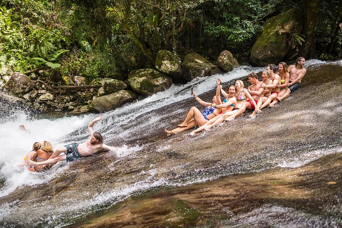Fun, Falls and Forests Day Trip from Cairns - Key points to know before you book