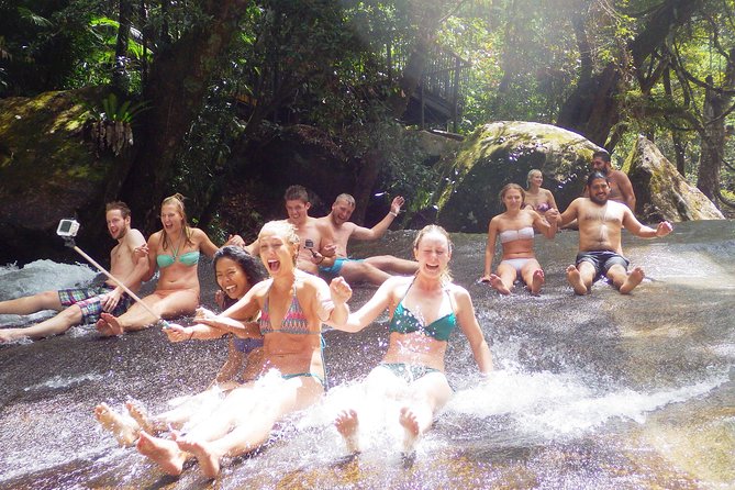 Fun, Falls and Forests Day Trip from Cairns - Millaa Millaa Falls offers the classic waterfall view