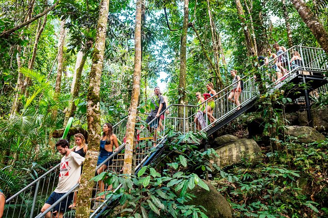 Fun, Falls and Forests Day Trip from Cairns - The guides shape the mood of the whole day