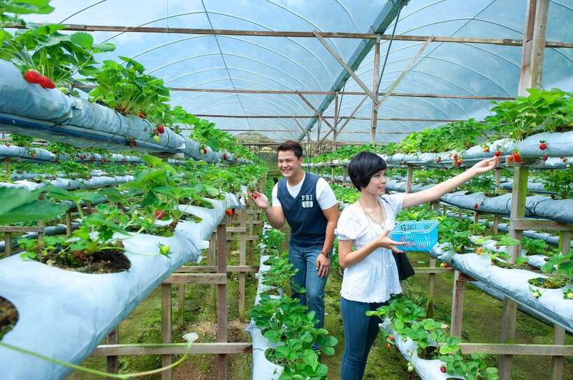 Genting Highland: Private Day Trip from Kuala Lumpur - Is $106 per person a fair price?