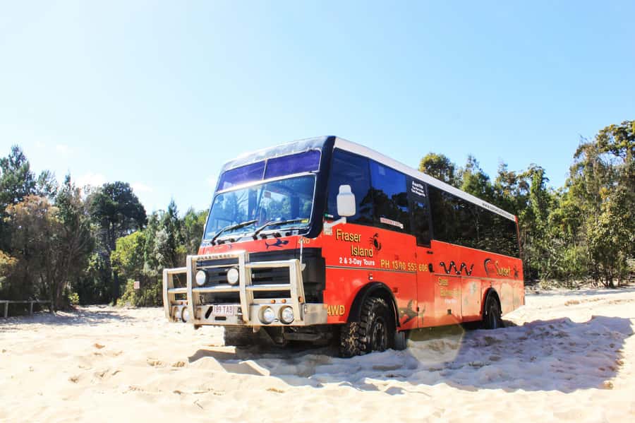 Gold Coast: Moreton Island Day Trip Kayak & Sandboarding - Snorkeling and kayaking at the Tangalooma Wrecks