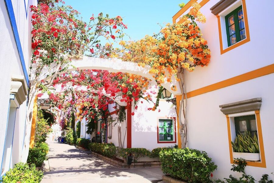 Gran Canaria: Puerto de Mogán Local Market Day Trip - Three hours among canals, flowers, and the marina