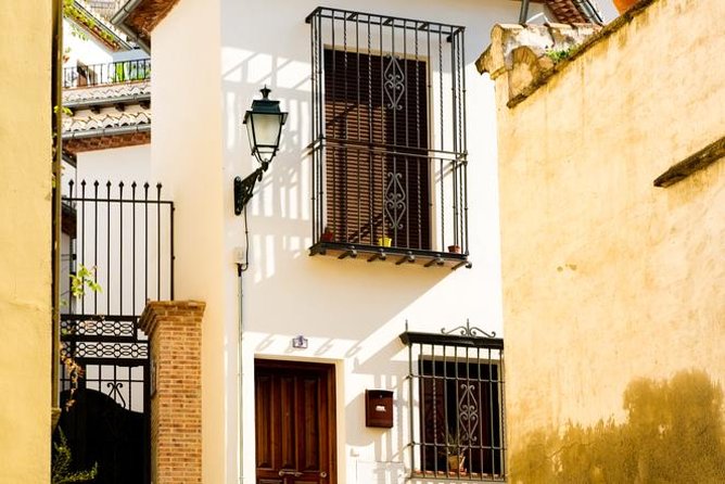 Granada Day Trip with Alhambra and Albaicin Tour from Seville - Common problems to prevent before departure
