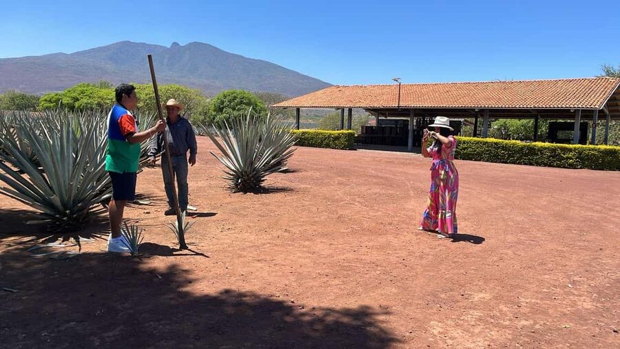 Guadalajara: Tequila Day Trip with Jose Cuervo Option - From Guadalajara to the agave fields