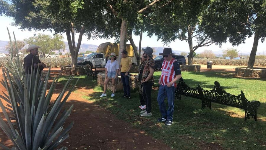 Guadalajara: Tequila Day Trip with Jose Cuervo Option - Exploring the town of Tequila