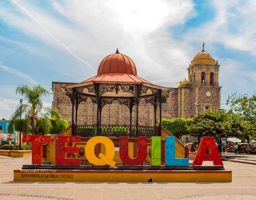 Guadalajara: Tequila Day Trip with Jose Cuervo Option - What happens inside the traditional distillery