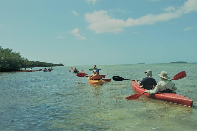 Half-Day Trip from Key West with Kayaking, Snorkeling & Sunset - Snorkeling above the Florida Keys reef