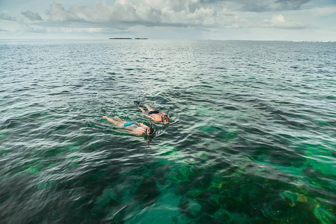Half-Day Trip from Key West with Kayaking, Snorkeling & Sunset - Morning or afternoon: choosing the right departure