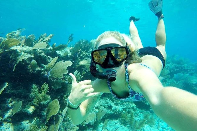 Half-Day Trip from Key West with Kayaking, Snorkeling & Sunset - Is the $115 price a fair value?