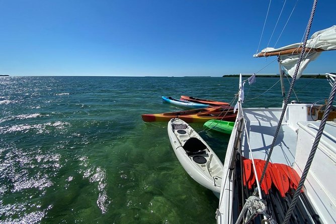 Half-Day Trip from Key West with Kayaking, Snorkeling & Sunset - Kayaking into the mangrove backcountry