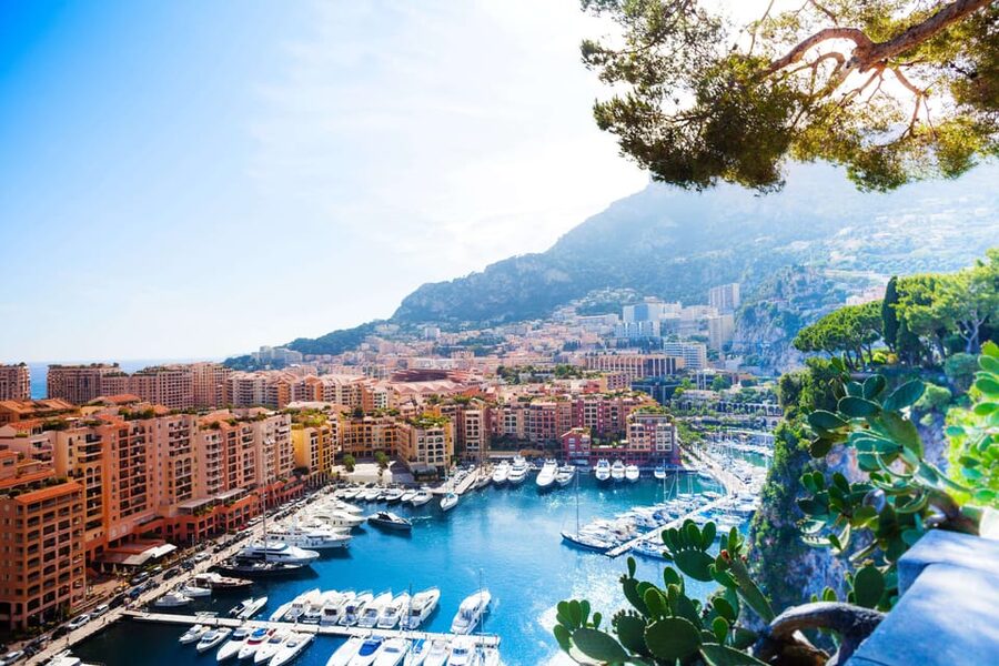 Half Day Trip from Nice to Monaco MC with Guided Walk - La Condamine market gives the day a local pause