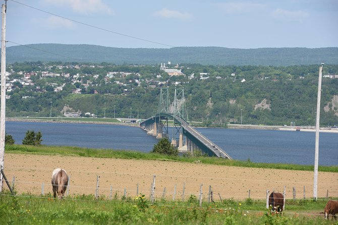 Half-Day Trip to Montmorency Falls and Ste-Anne-de-Beaupré from Quebec city - Who gets good value from the $70.53 price