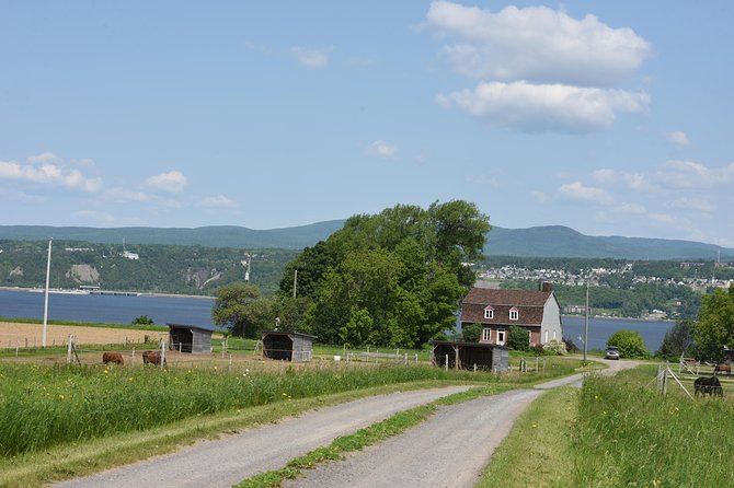 Half-Day Trip to Montmorency Falls and Ste-Anne-de-Beaupré from Quebec city - Who should book this half-day outing