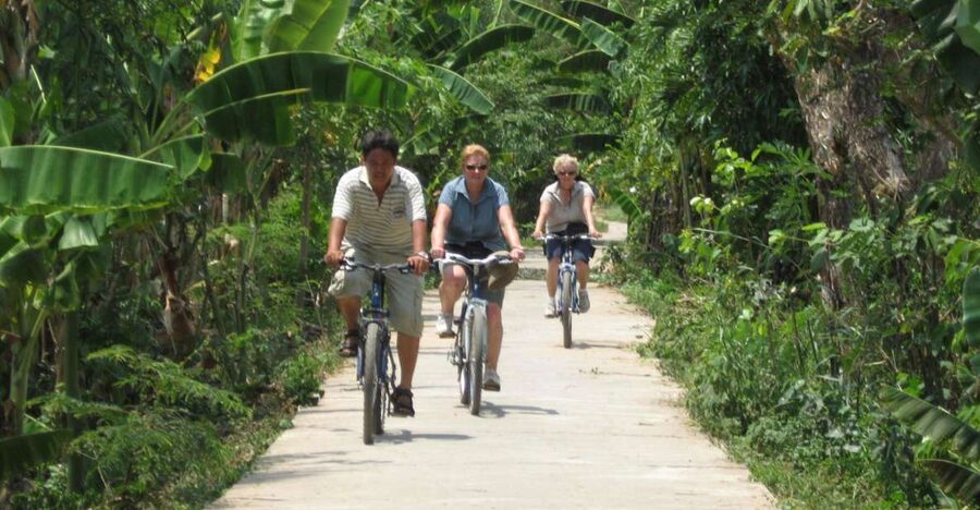 HCM: Mekong Delta, My Tho & Ben Tre Coconut Village - My Tho, the islands, and honey tea