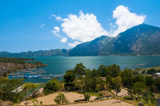 Highlights of Ubud & Mount Batur Volcano - Private Day Trip - Monkey Forest: macaques, shade, and a little caution