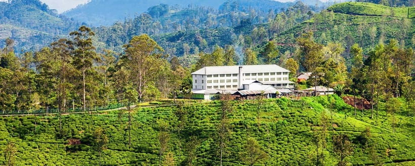 Hikkaduwa/Galle/Mirissa/Hiriketiya/Tangalle:Day Trip to ELLA - Little Adam’s Peak and lunch at 98 Acres