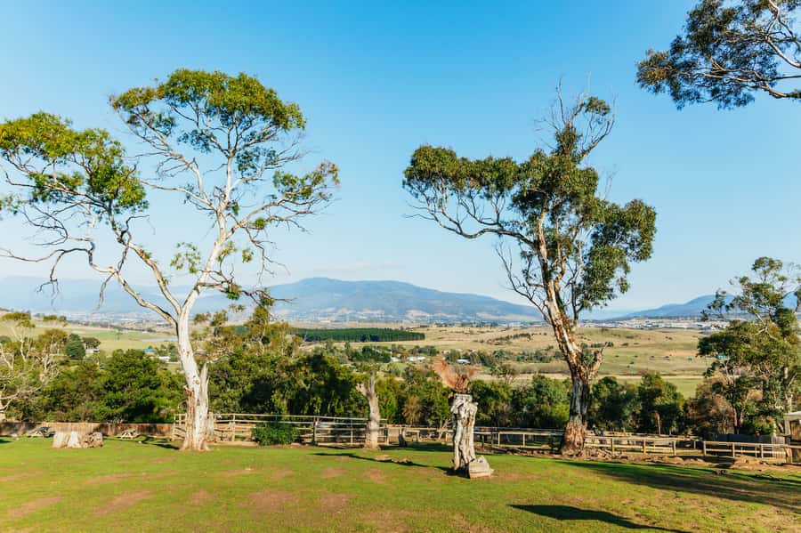 Hobart: Mt Wellington, Mt Field, Bonorong and Richmond Trip - Who will get the most from this tour