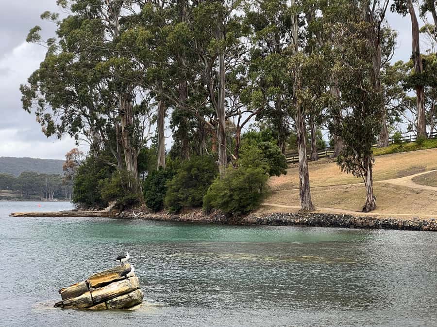 Hobart: Port Arthur & Tasman Park Full-Day Trip with Cruise - Tasman Arch and Remarkable Cave