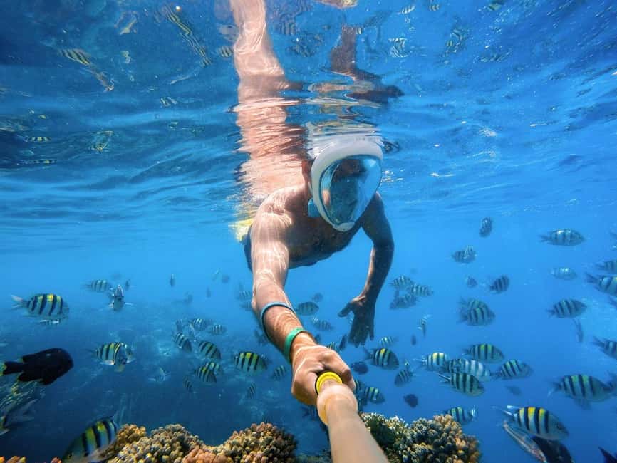 Hurghada: Orange Bay Day Trip with Water Sports and Lunch - Two Red Sea reef stops, not just a quick swim
