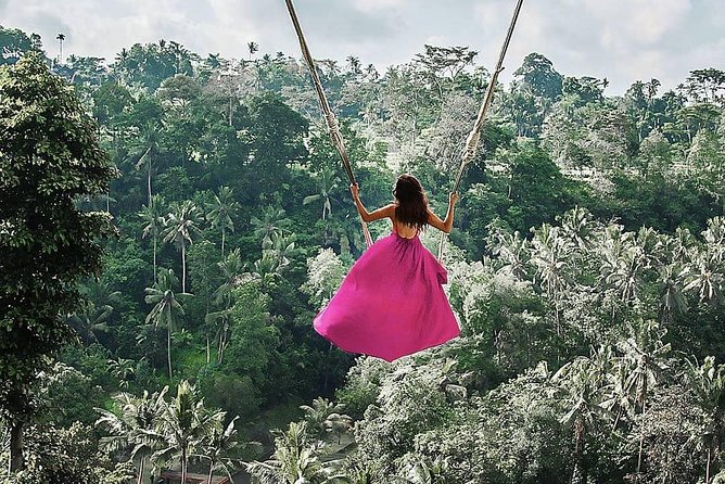 Individual Bali Day Trip with Private Driver and Free WiFi - What the $38 price really buys you