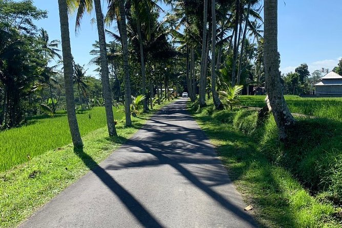 Individual Bali Day Trip with Private Driver and Free WiFi - Ubud: temples, art, rice fields, and moving water