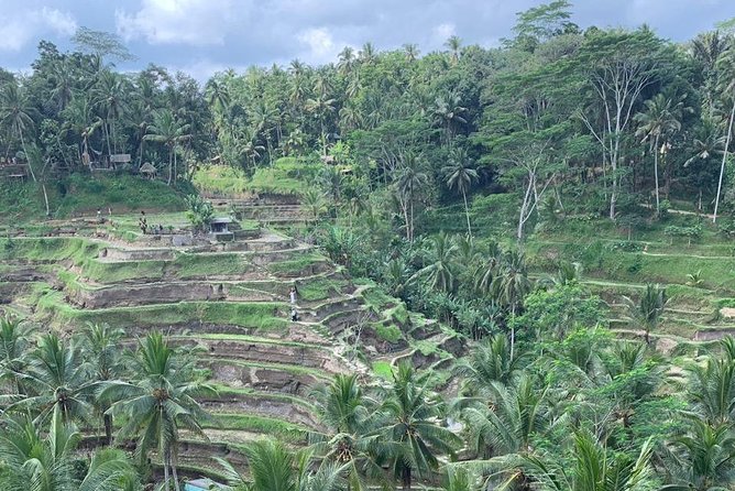 Individual Bali Day Trip with Private Driver and Free WiFi - North Bali: cool mountain views and long road time