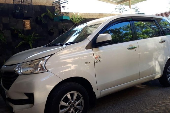 Individual Bali Day Trip with Private Driver and Free WiFi - What the drivers do well, and where you need to speak up