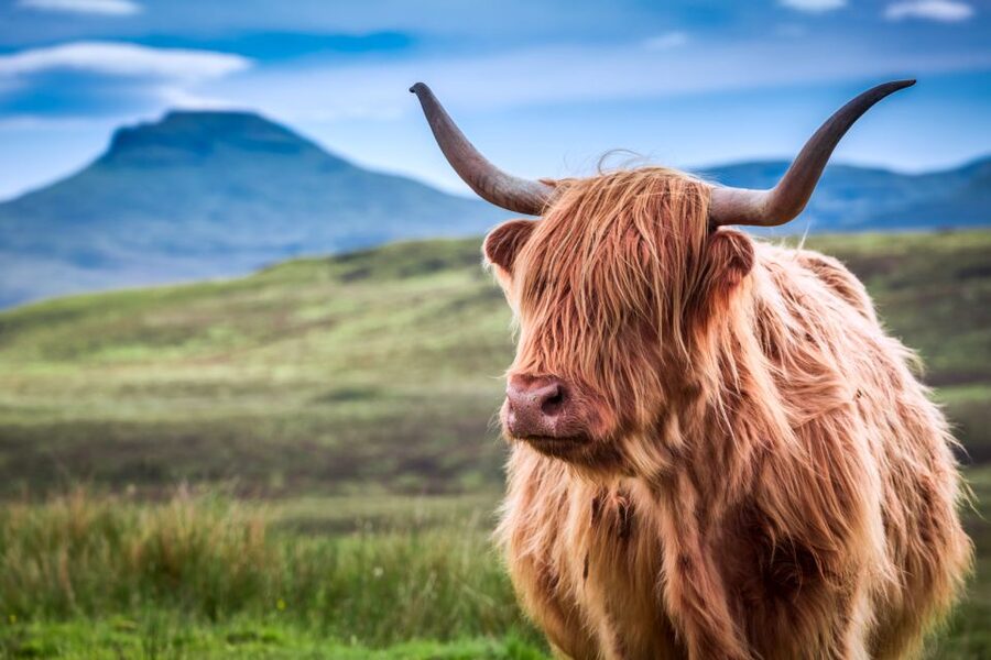 Inverness: Isle of Skye and Eilean Donan Castle Day Trip - Old Man of Storr, Kilt Rock, and the Quiraing