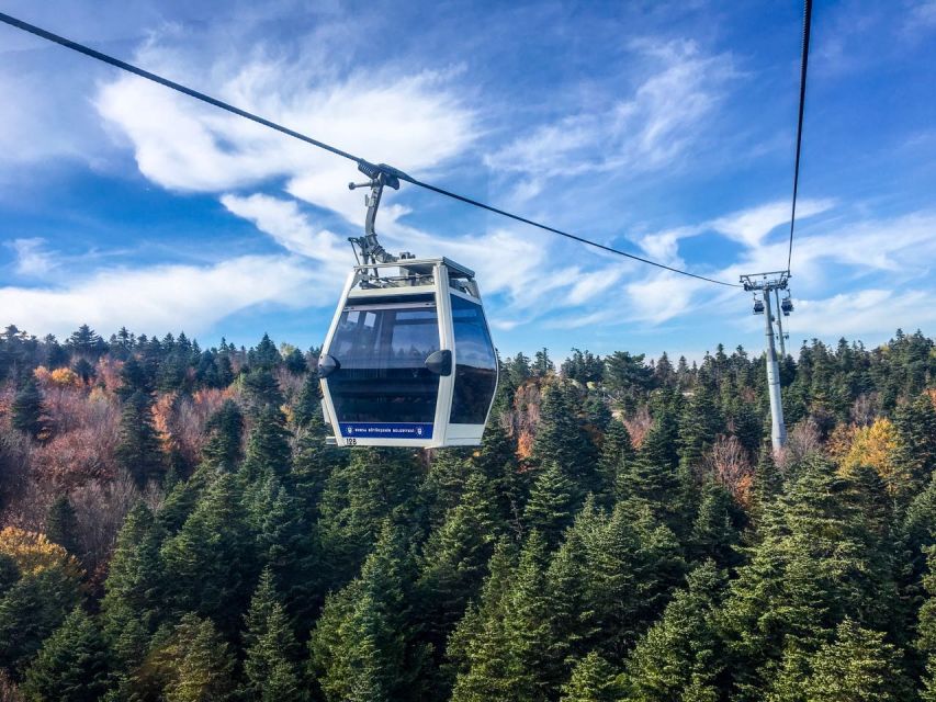Istanbul: Bursa and Uludag Full-Day Trip with Cable Car Ride - The Inkaya Tree and Bursa’s first taste