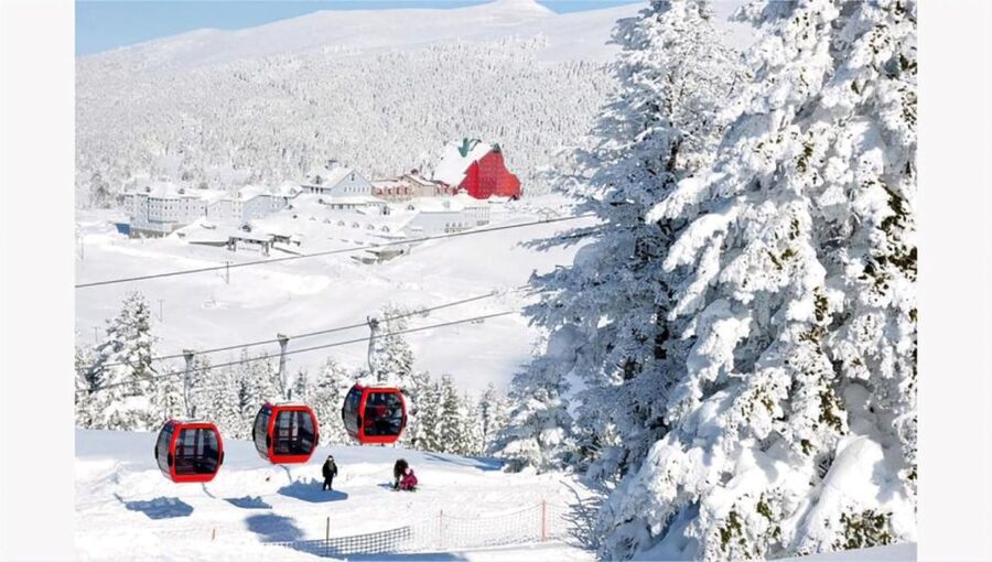 Istanbul: Bursa & Uludag Mountain Day Trip w/ Opt. Cable Car - Reaching Uludag National Park