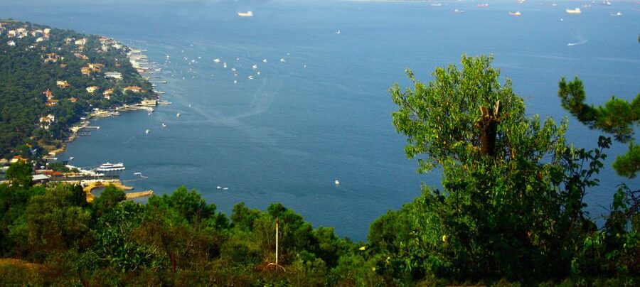 Istanbul: Day Trip to the Princes' Islands - Key points to know before booking