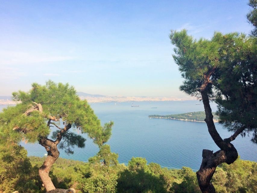 Istanbul: Day Trip to the Princes' Islands - Leaving Istanbul for the Princes’ Islands